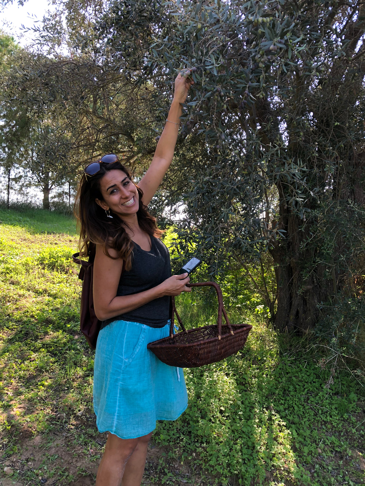 Claudia Hanna-Veysel, the founder of Olive Oil Flights, picking olives from a grove