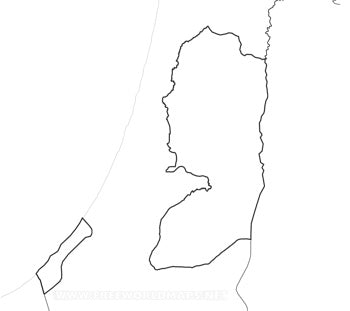 Palestinian EVOO