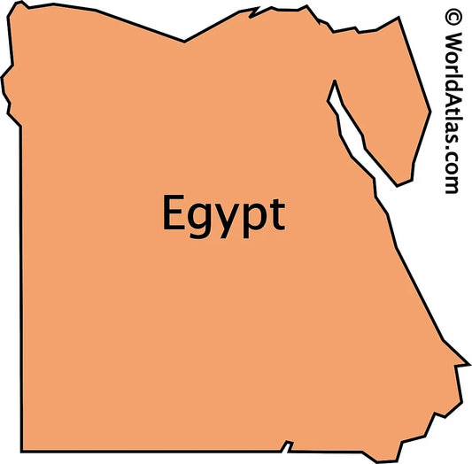Egyptian EVOO